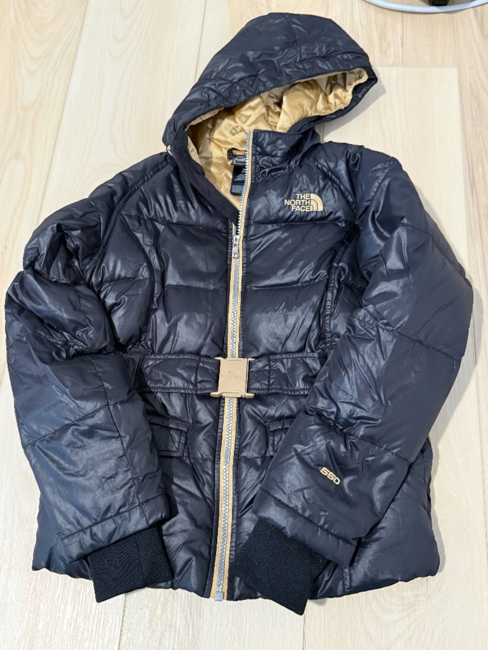 The North Face Winter Jacket